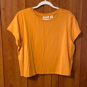 Cropped Yellow SS Tee *brand new*